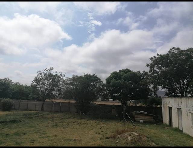 FARM FOR SALE IN WALKERVILLE CENTRAL